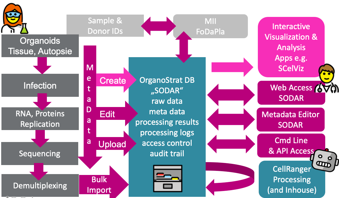Overview of Resources