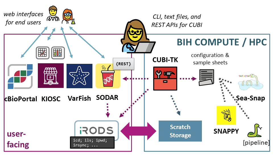 graphical abstract