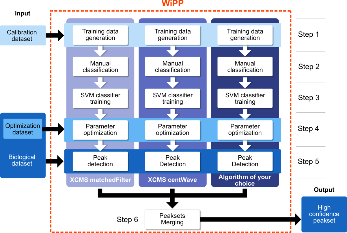 WIPP workflow